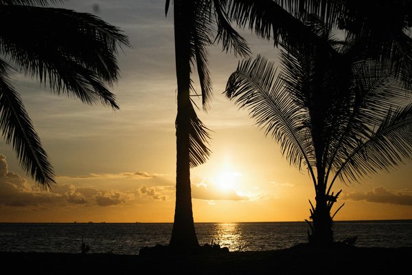 Quels sont les avantages de louer une maison de vacances en Islande avec des excursions pour observer les volcans et des bains géothermiques?