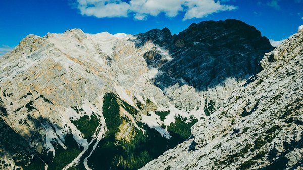 Comment préparer une expédition pour observer les gorilles des montagnes en Ouganda?